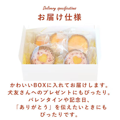 ときめきタルトBOX｜愛犬用スイーツ バレンタイン限定 ときめきタルトBOX【冷凍便】