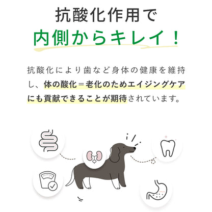 Cozy Milk コージーミルク / カラダシルク in