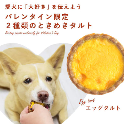 ときめきタルトBOX｜愛犬用スイーツ バレンタイン限定 ときめきタルトBOX【冷凍便】