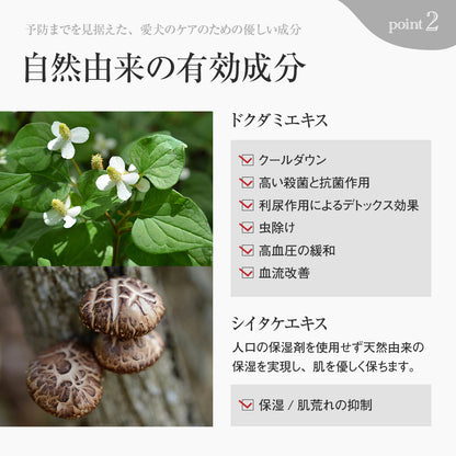 [HONI] プロテクトミスト